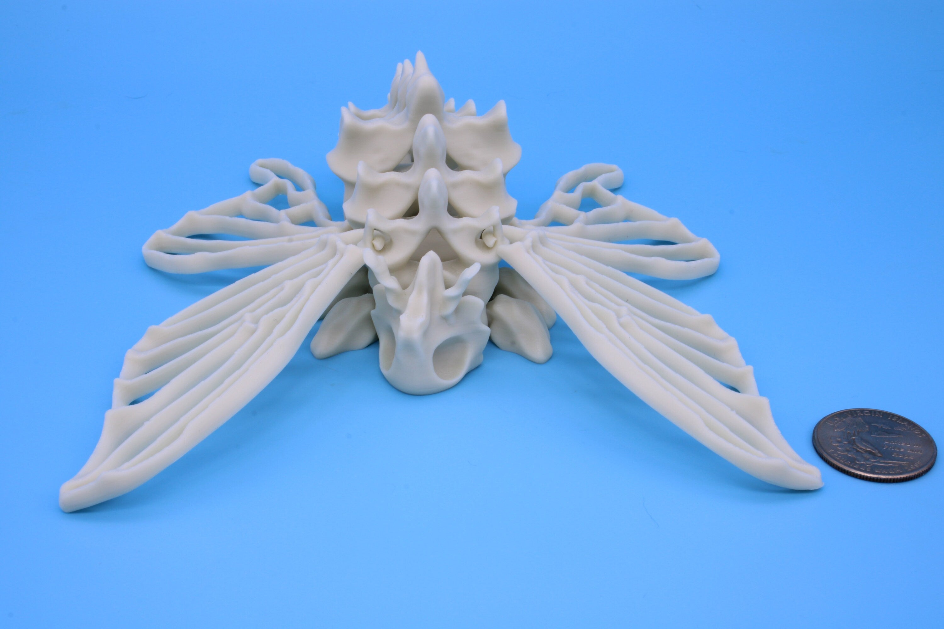 Bone Moth | Bone White, White, & Black | 3D Printed
