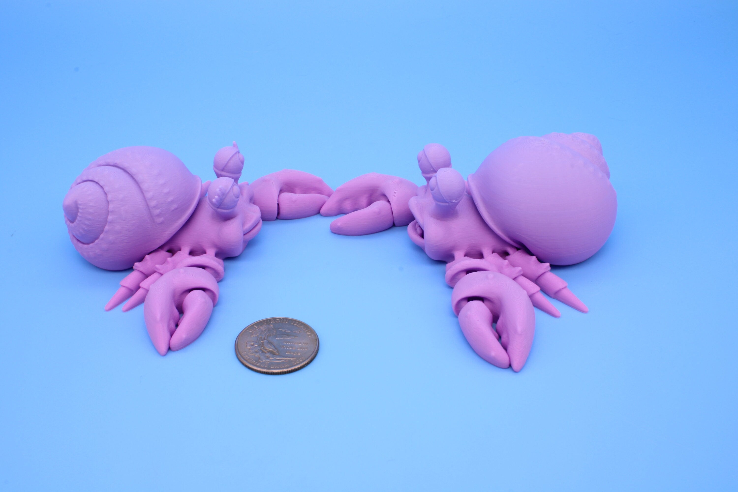 Hermit Crabs- Mr. & Mrs. | 3D Printed | Super Cute | Friendly Crabs.