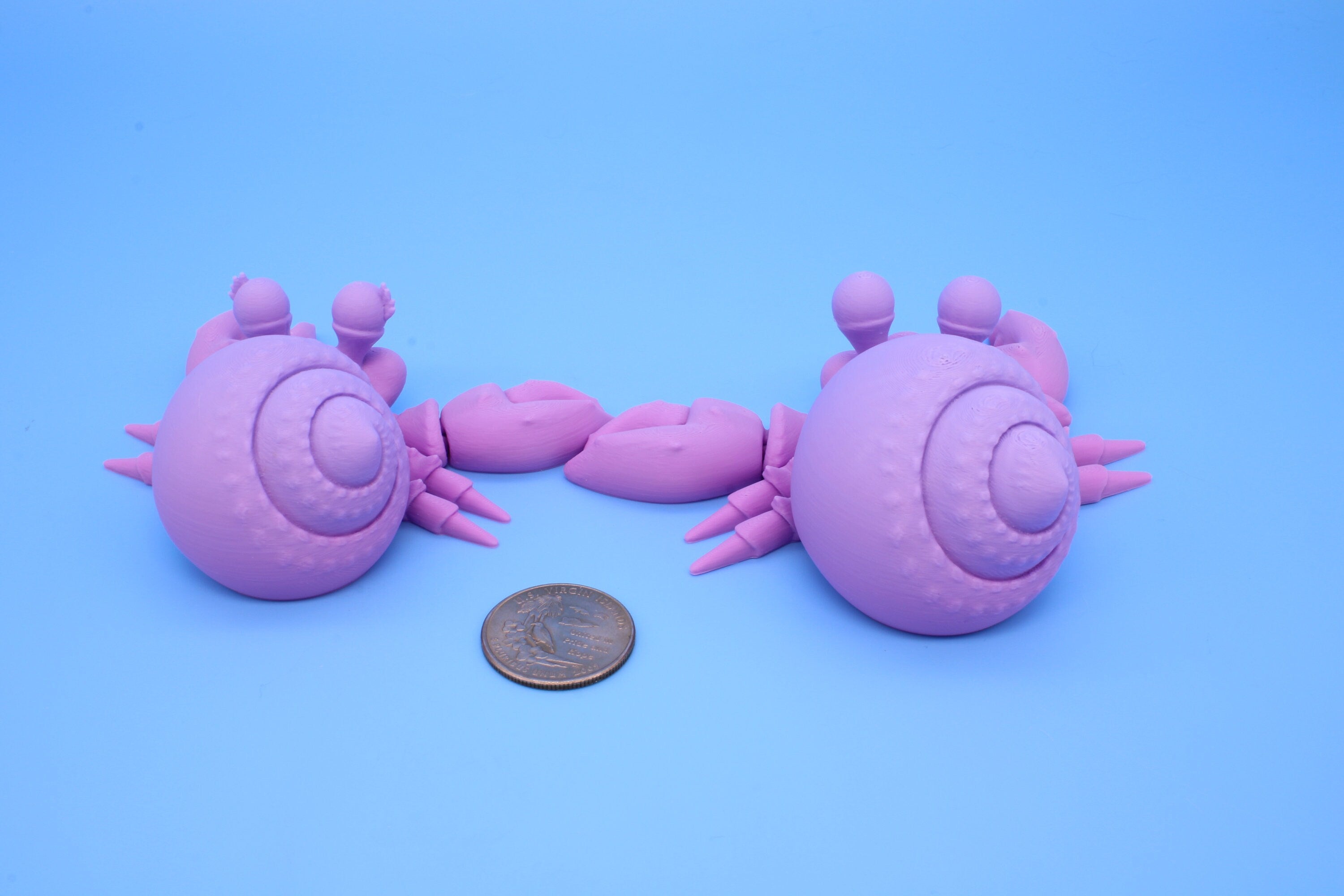 Hermit Crabs- Mr. & Mrs. | 3D Printed | Super Cute | Friendly Crabs.