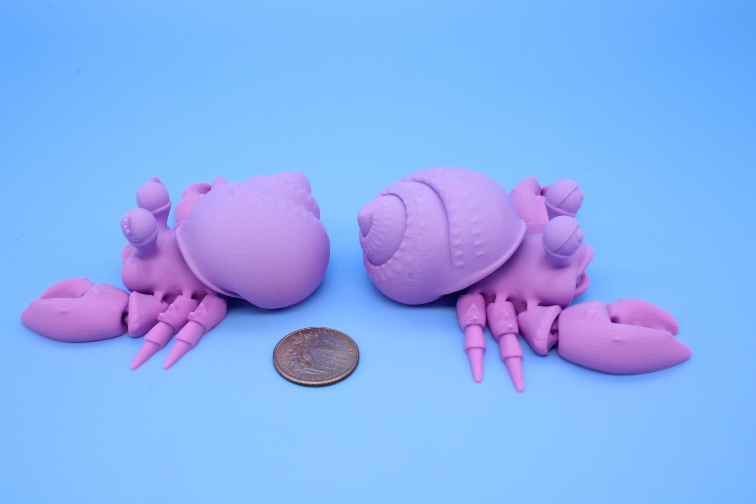 Hermit Crabs- Mr. & Mrs. | 3D Printed | Super Cute | Friendly Crabs.