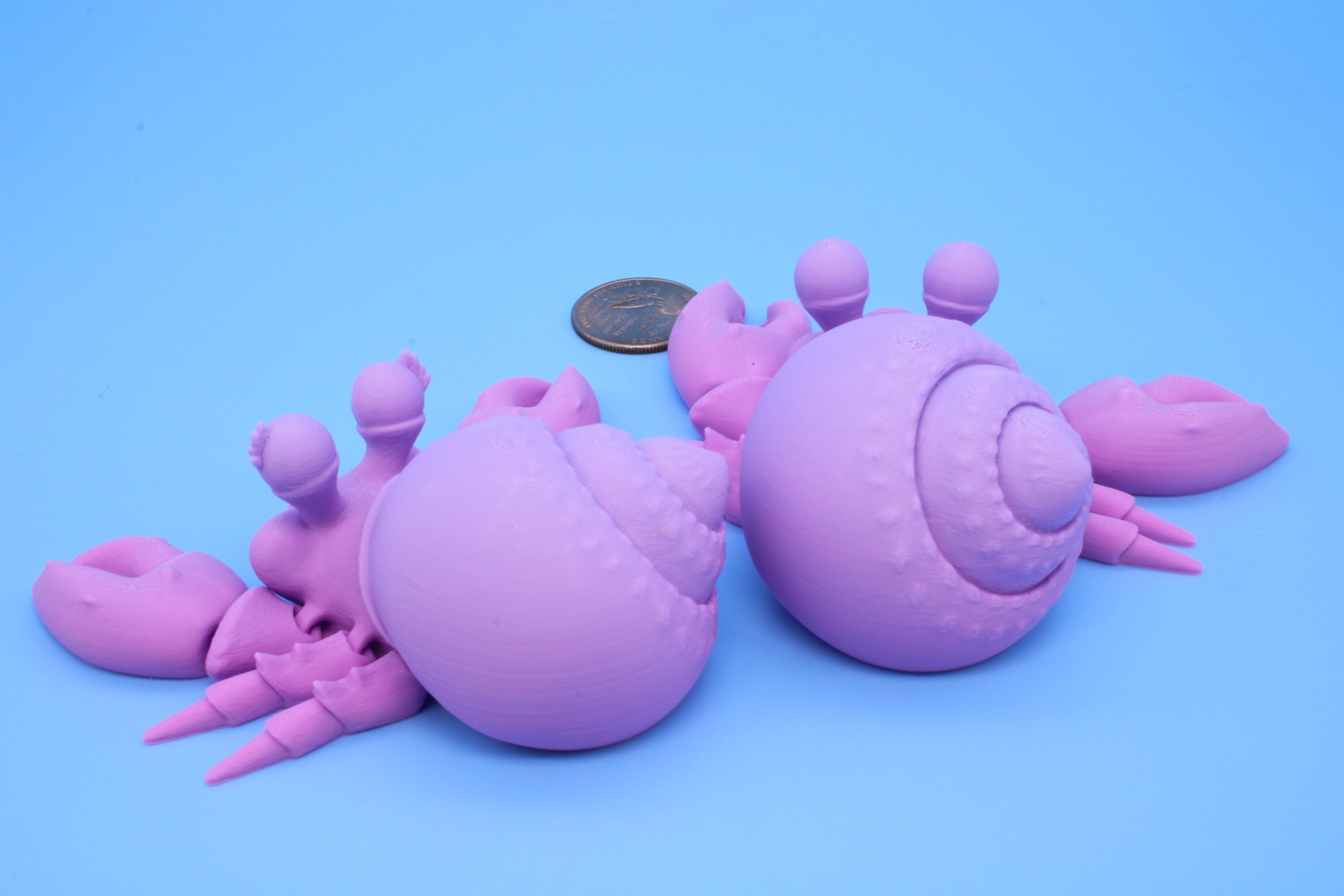 Hermit Crabs- Mr. & Mrs. | 3D Printed | Super Cute | Friendly Crabs.