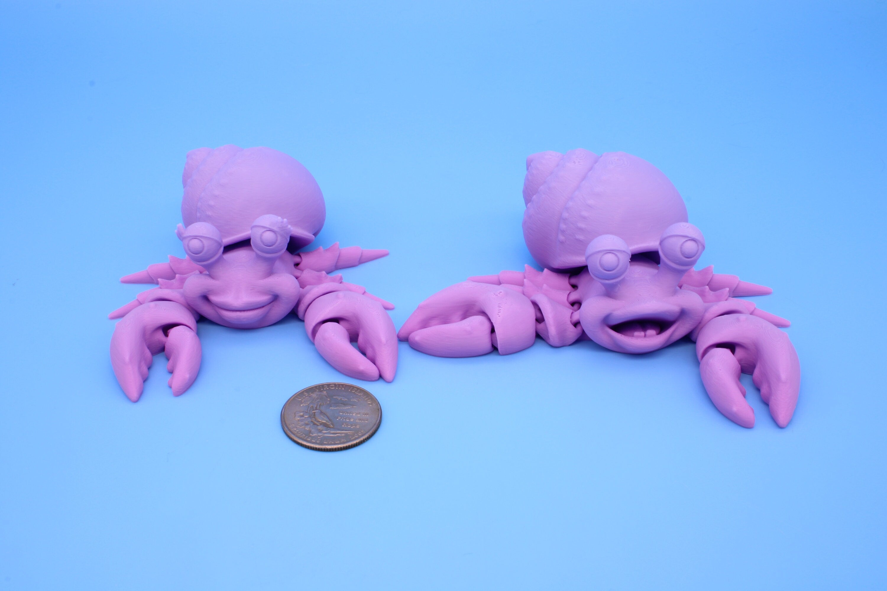 Hermit Crabs- Mr. & Mrs. | 3D Printed | Super Cute | Friendly Crabs.