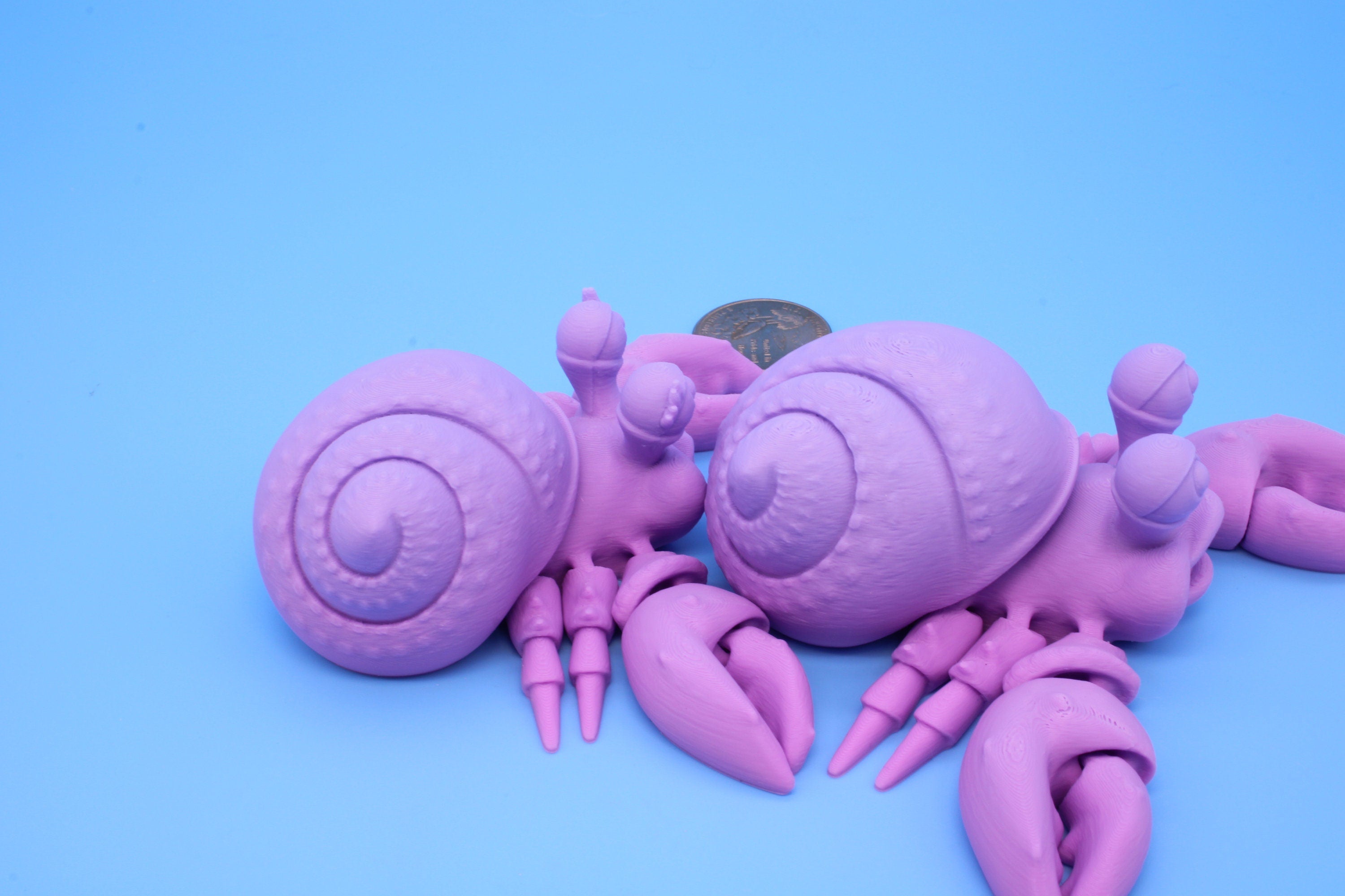 Hermit Crabs- Mr. & Mrs. | 3D Printed | Super Cute | Friendly Crabs.