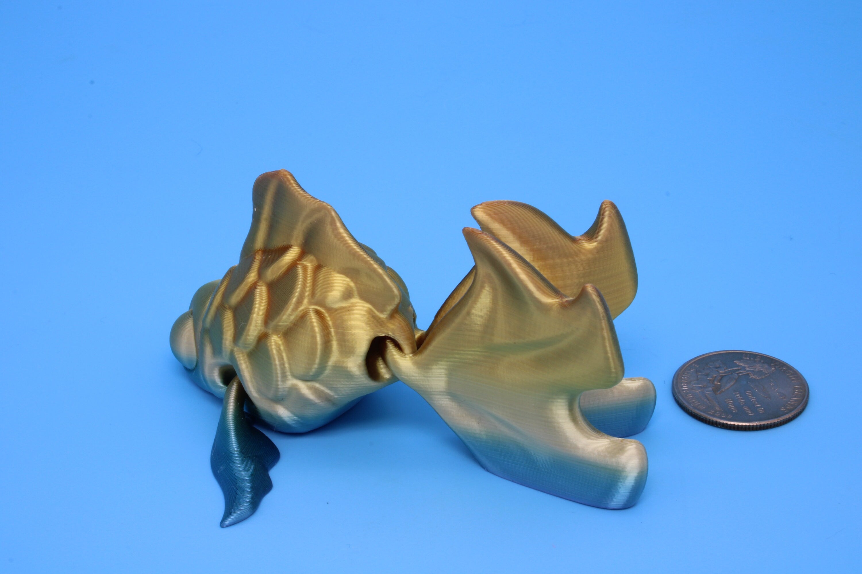 Fancy Gold Fish | 3D Printed