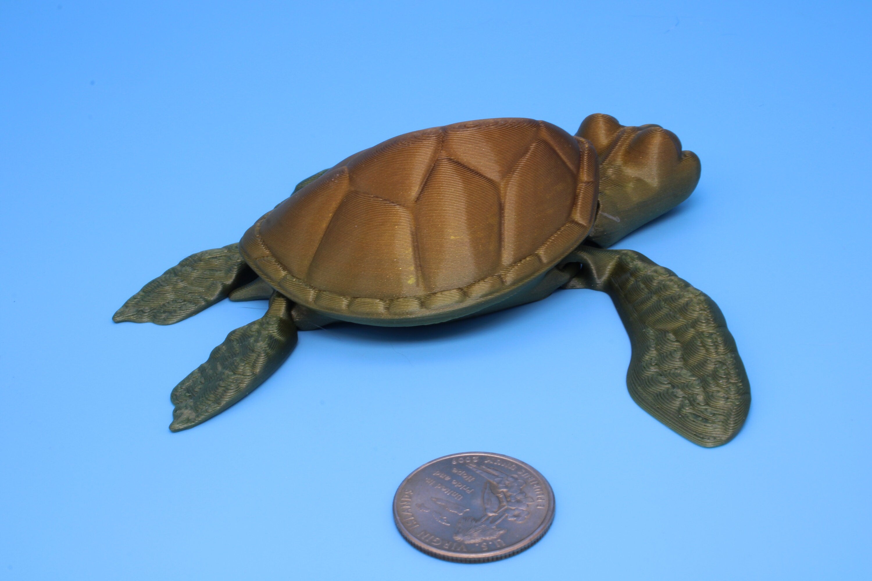Turtle- Cute Flexi Toy | Articulating Turtle | 3D printed 4.75 in.