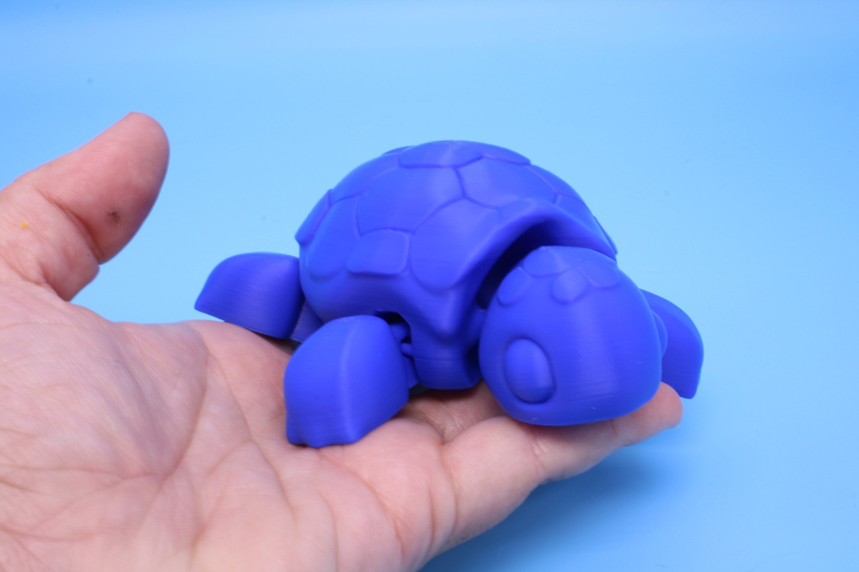 Articulating Turtle | 3D Printed Blue Cute Turtle with heart on shell.