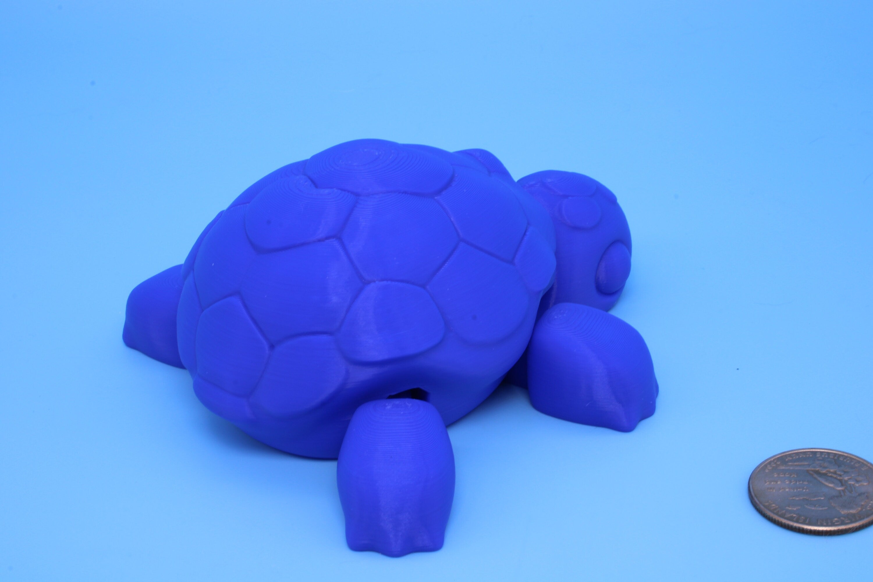 Articulating Turtle | 3D Printed Blue Cute Turtle with heart on shell.