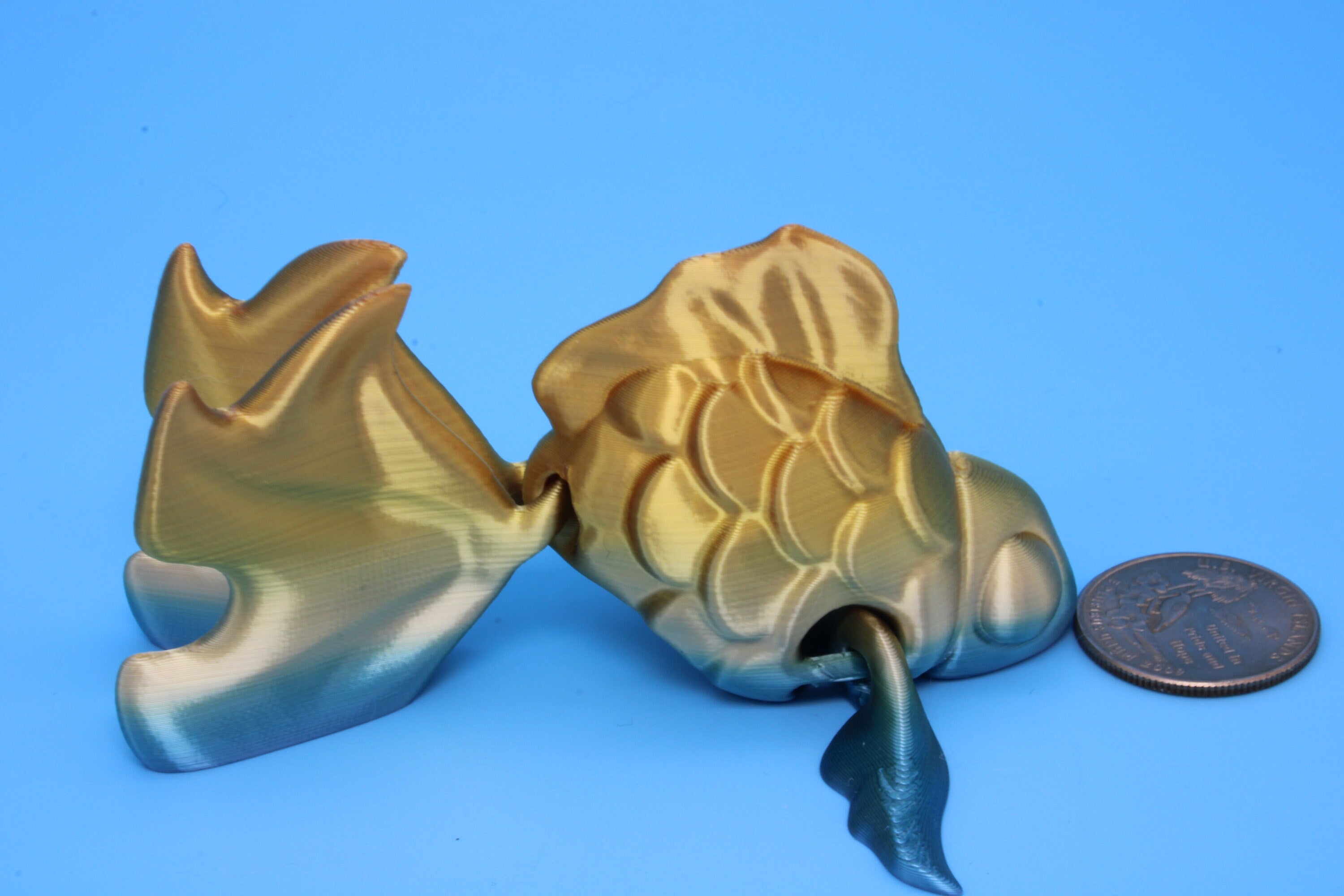 Fancy Gold Fish | 3D Printed