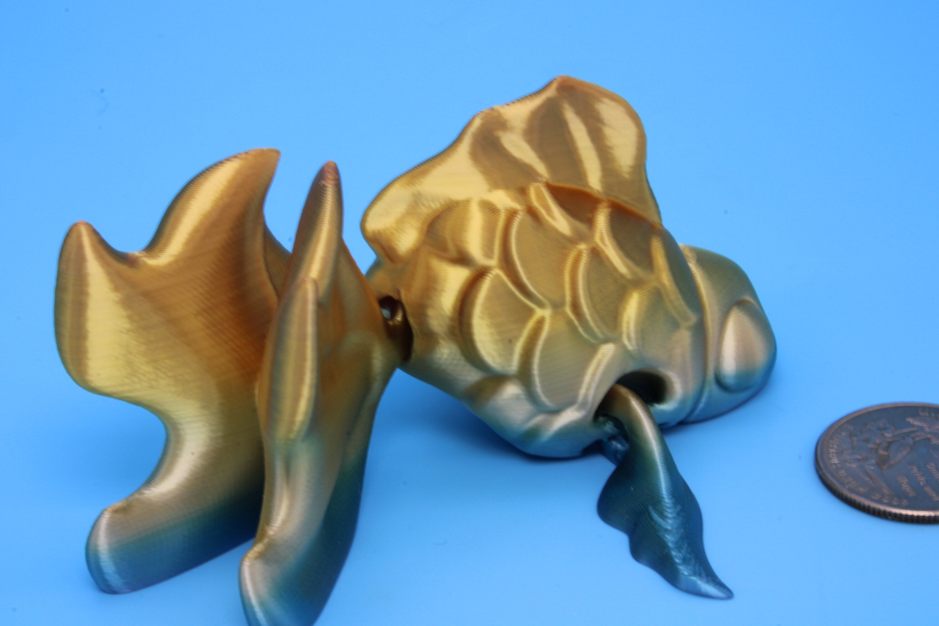 Fancy Gold Fish | 3D Printed