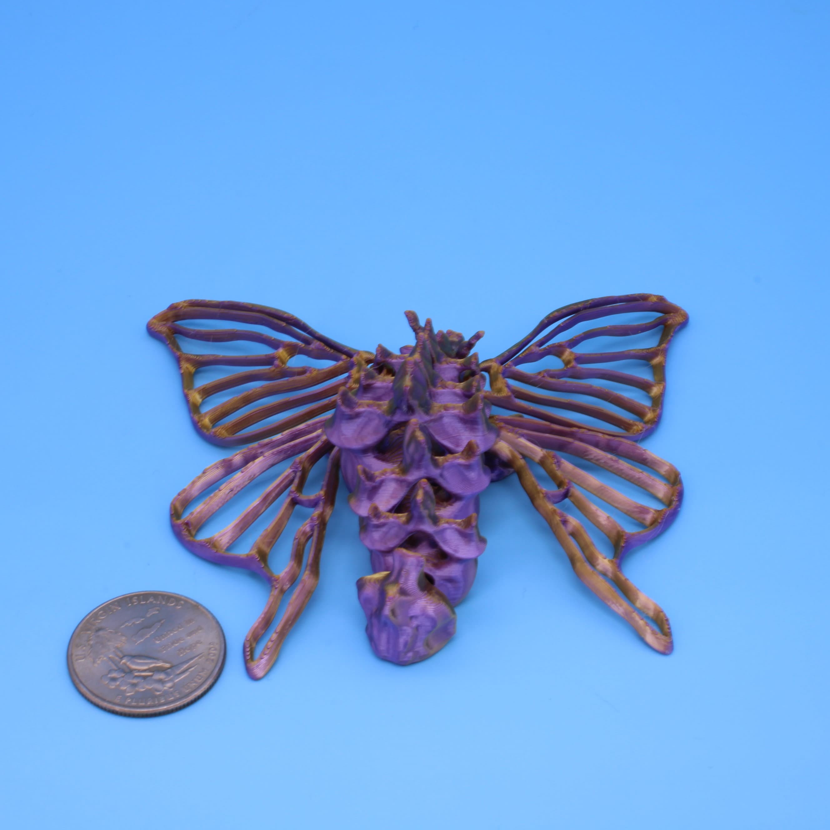 Bone Moth | 3D Printed