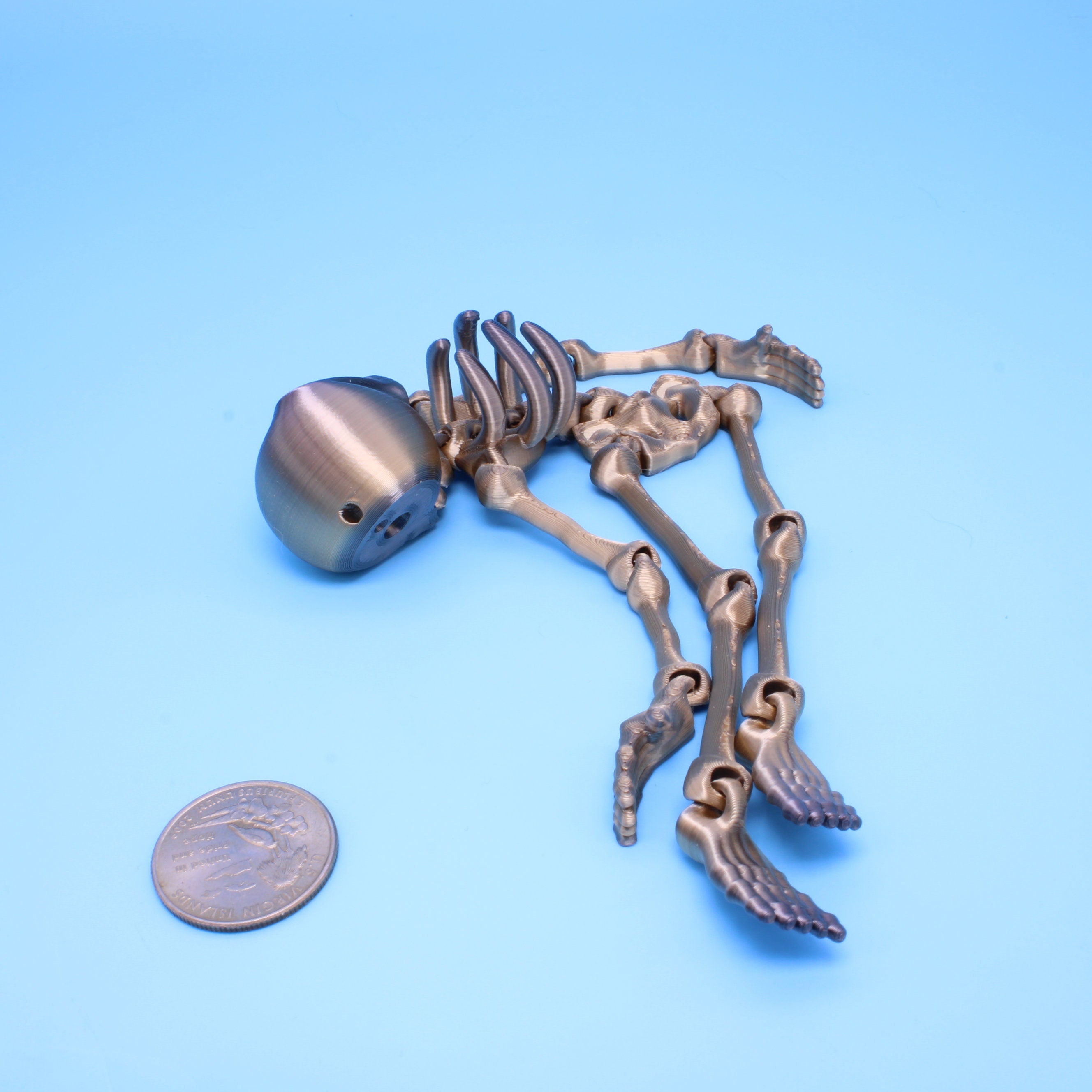 Skeleton - Flexi Fidget 7 in.