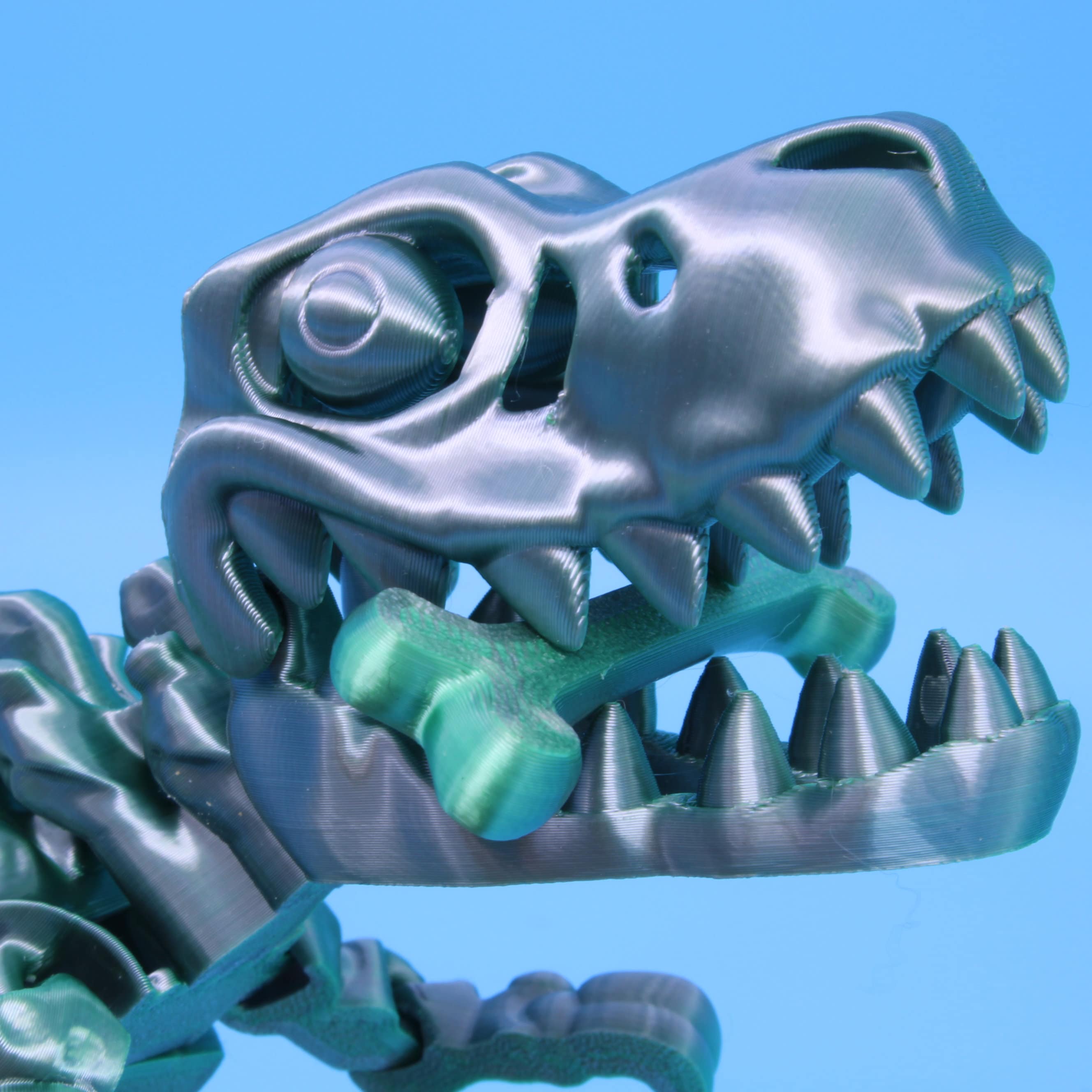 Flexi Skelton T-Rex | Articulating | 3D Printed