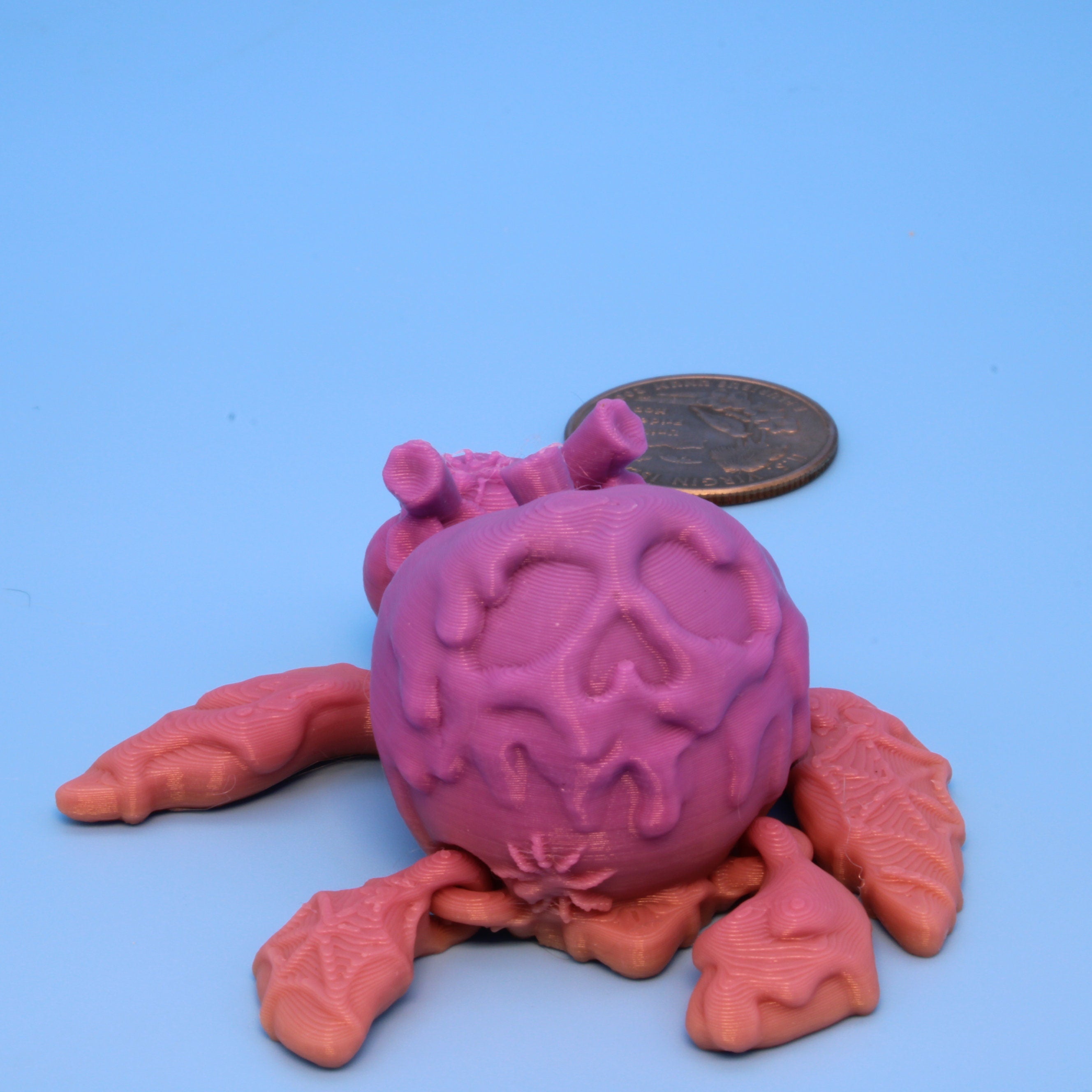 Miniature Poison Apple Turtle & Bone Moth | 3D Printed