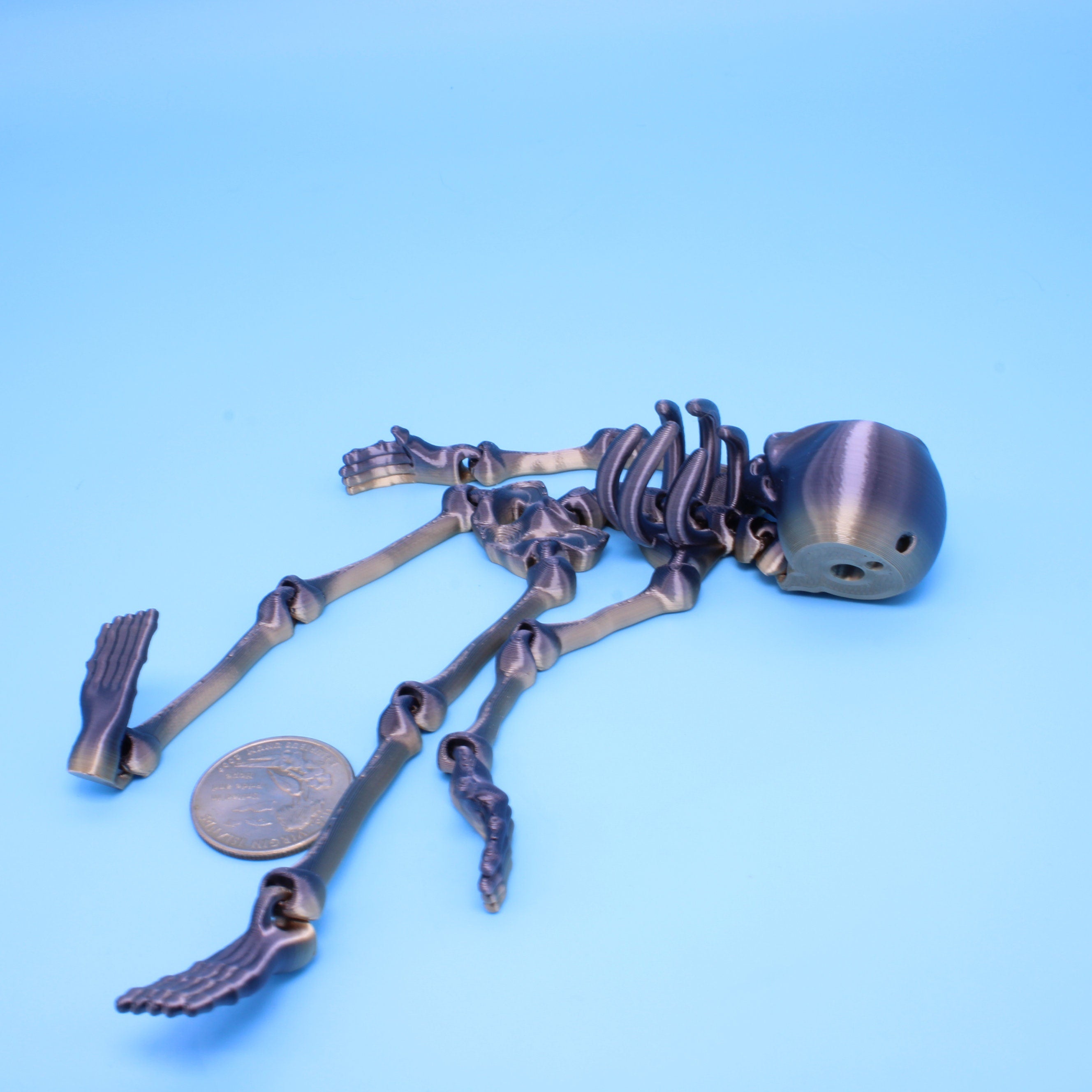 Skeleton - Flexi Fidget 7 in.