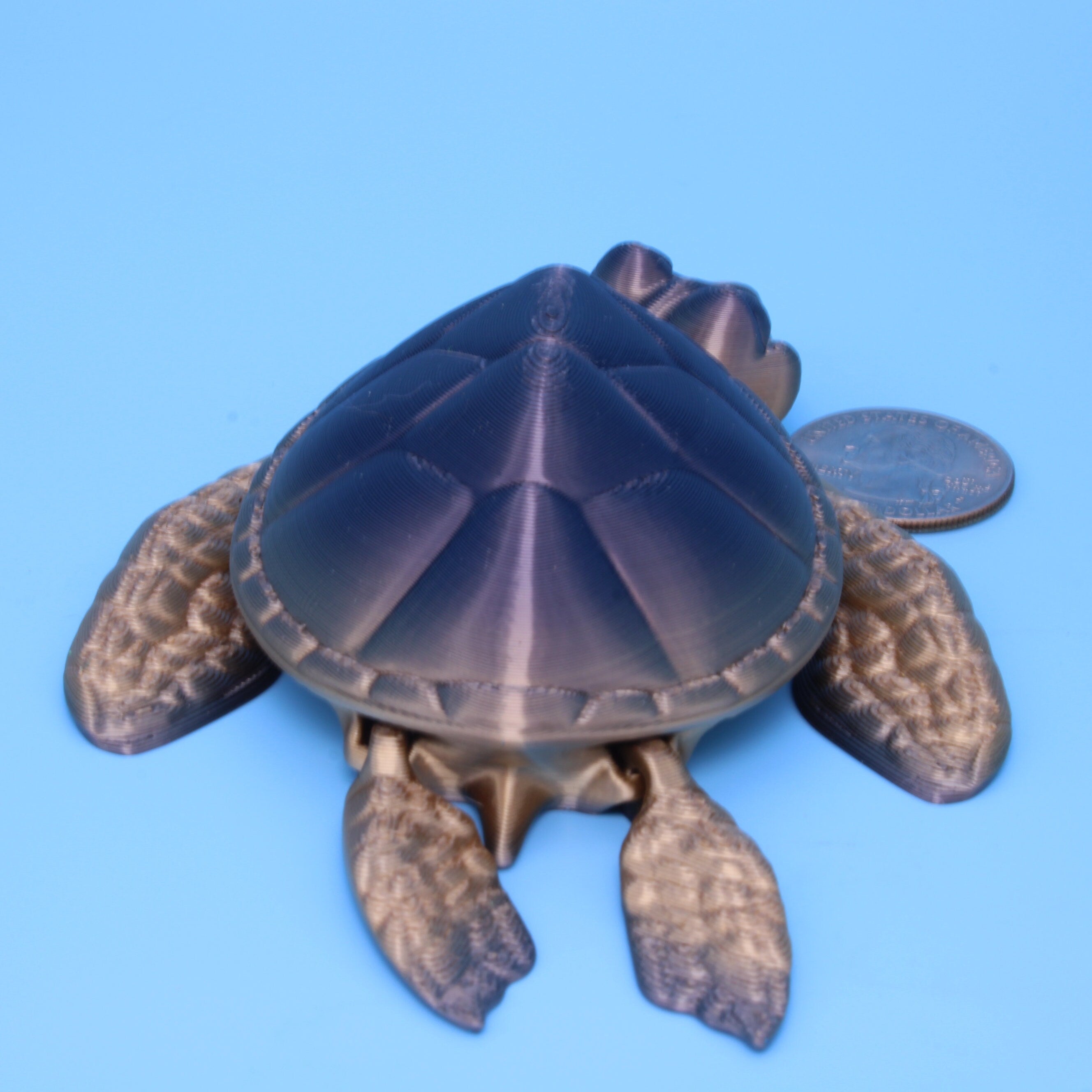 Turtle