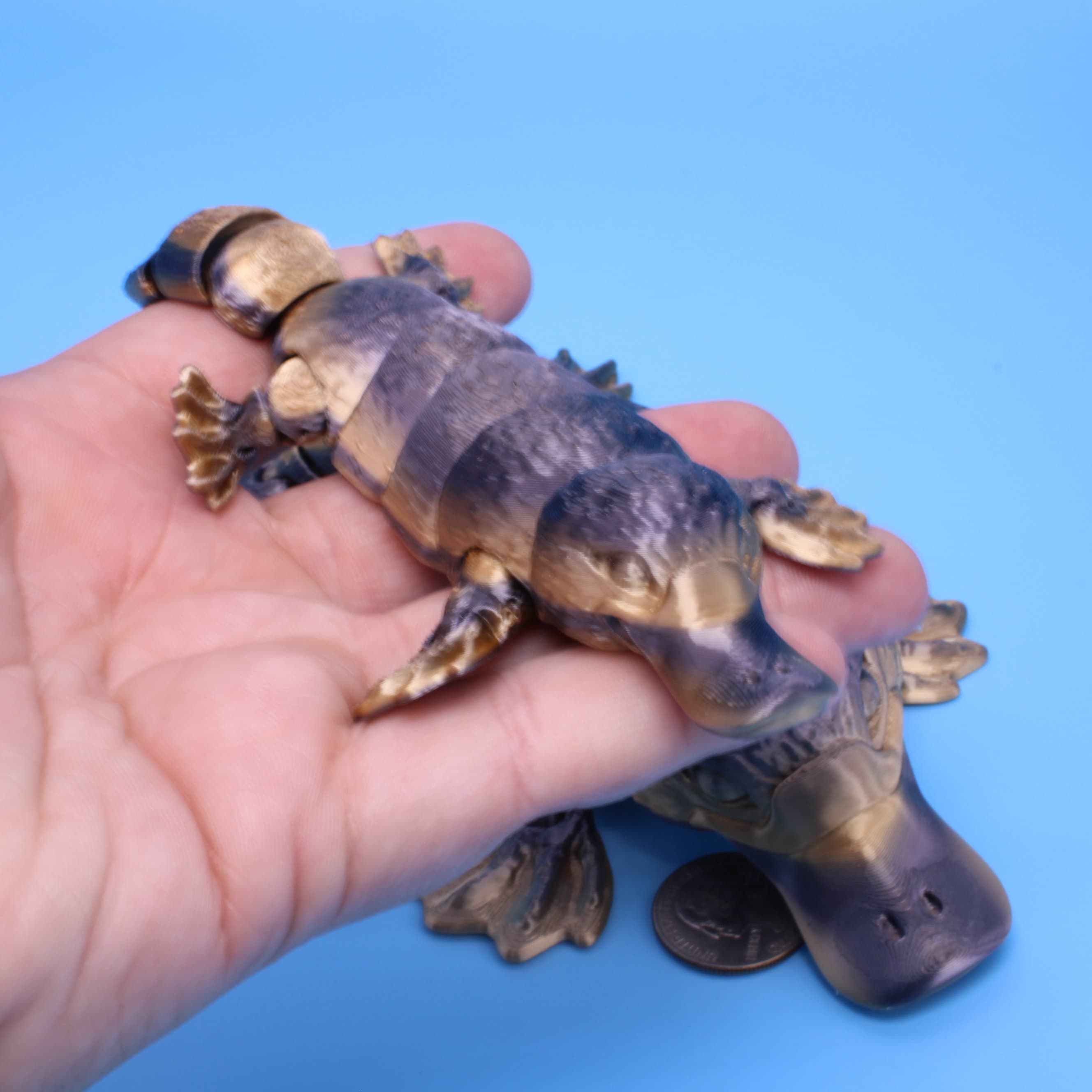 Platypus 3D Printed - Authorized Seller of MatMireMakes