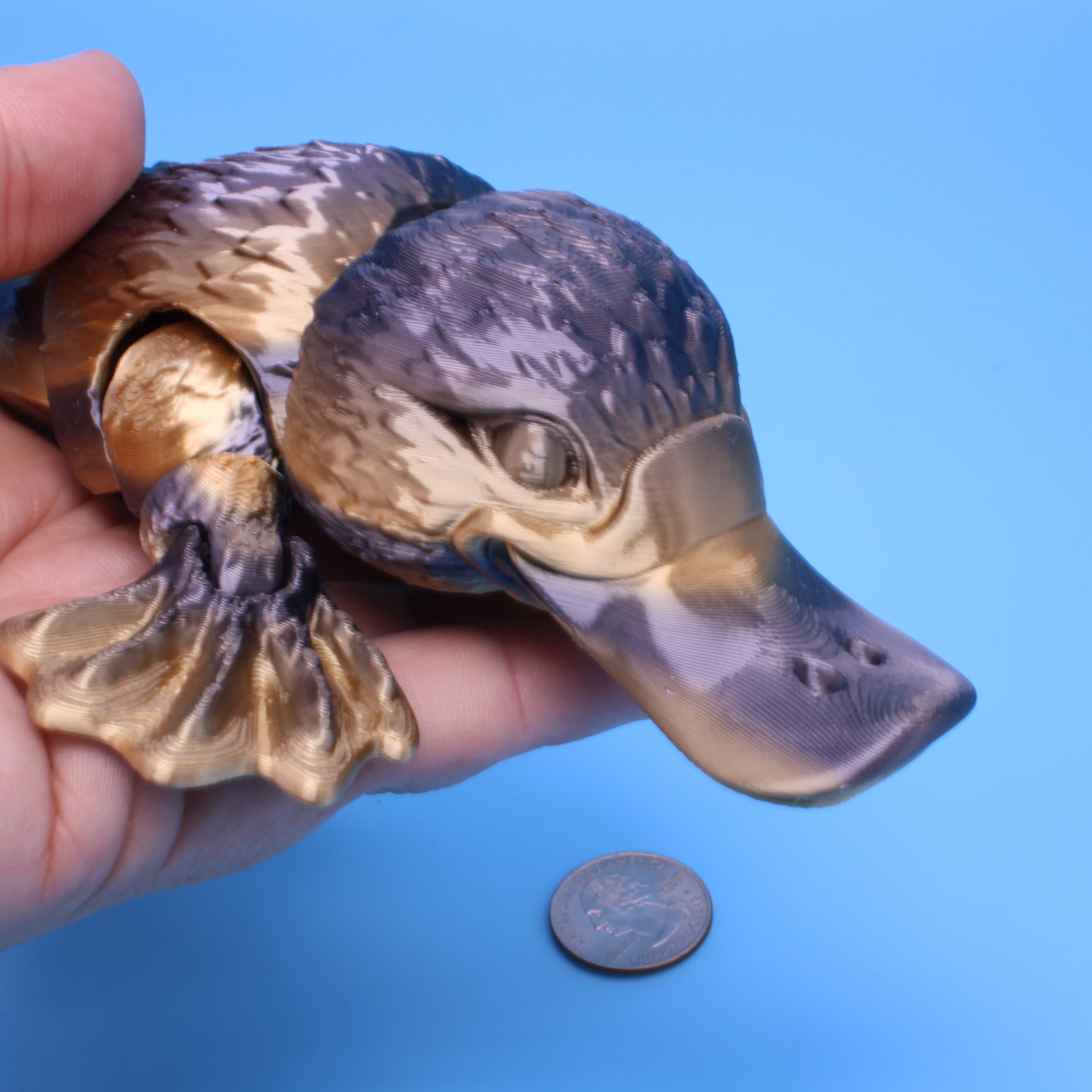 Platypus 3D Printed - Authorized Seller of MatMireMakes